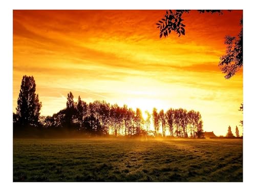 1000 Teile Erwachsenenpuzzle ab 14 Jahren-Niedergang,Feld,Bäume 70x50cm von THISIT
