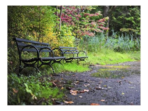 1000 Teile Erwachsenenpuzzle ab 14 Jahren-Park,Bäume,Bänke,Natur 70x50cm von THISIT