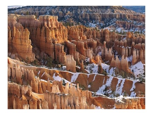 1000 Teile Erwachsenenpuzzle ab 14 Jahren-Schluchten,Schnee,Bäume 70x50cm von THISIT