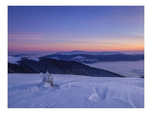1000 Teile Erwachsenenpuzzle ab 14 Jahren-Schnee,Busch,Berge 70x50cm von THISIT