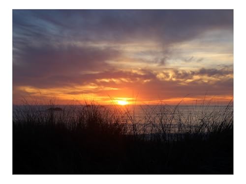 1000 Teile Erwachsenenpuzzle ab 14 Jahren-Sonnenuntergang,Himmel,Gras,Dämmerung 70x50cm von THISIT