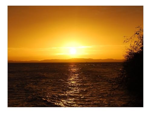 1000 Teile Erwachsenenpuzzle ab 14 Jahren-Sonnenuntergang,Wellen,Wasser,Horizont 70x50cm von THISIT