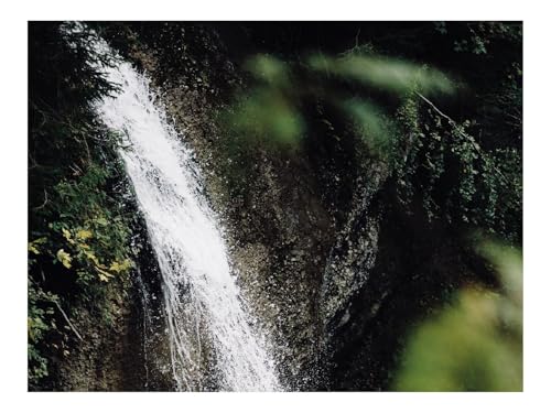 1000 Teile Erwachsenenpuzzle ab 14 Jahren-Wasserfall,Bachlauf,Zweige,Gischt 70x50cm von THISIT