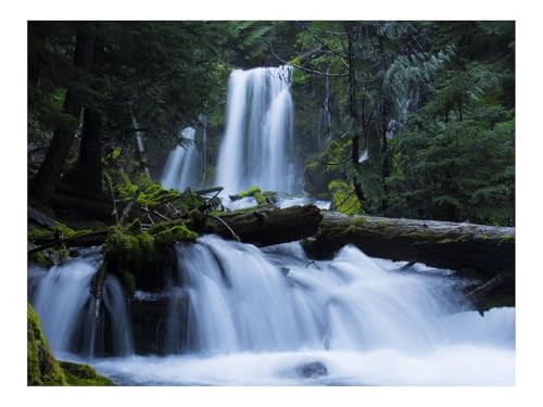 1000 Teile Erwachsenenpuzzle ab 14 Jahren-Wasserfall,Moos,Wälder,Bäume 70x50cm 1000 Teile Erwachsenenpuzzle ab 14 Jahren-Wasserfall,Moos,Wälder,Bäume 70x50cm von THISIT