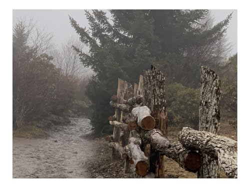 1000 Teile Erwachsenenpuzzle ab 14 Jahren-Weg,Zaun,Baum,Nebel,Natur 70x50cm 1000 Teile Erwachsenenpuzzle ab 14 Jahren-Weg,Zaun,Baum,Nebel,Natur 70x50cm von THISIT