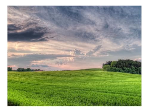 1000 Teile Farbenfrohes Puzzle Damen,Herren-Wolken,Himmel,Volumen,Wolkig,Holz,Feld,Weite 70x50cm 1000 Teile Farbenfrohes Puzzle Damen,Herren-Wolken,Himmel,Volumen,Wolkig,Holz,Feld,Weite 70x50cm von THISIT