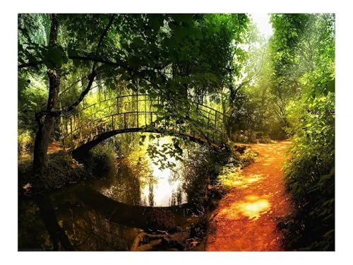 1000 Teile Klassisches Puzzle für Erwachsene Und Kinder-Brücke,Park,Fluss 70x50cm von THISIT