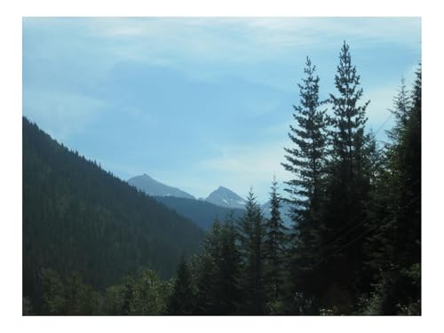 1000 Teile Klassisches Puzzle für Erwachsene Und Kinder-Kanada,Berge,Bäume 70x50cm von THISIT