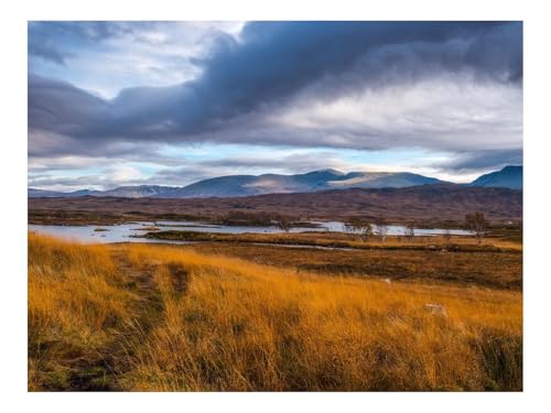 1000 Teile Puzzle Erwachsene-Berge,Gras,See,Bäume 70x50cm 1000 Teile Puzzle Erwachsene-Berge,Gras,See,Bäume 70x50cm von THISIT