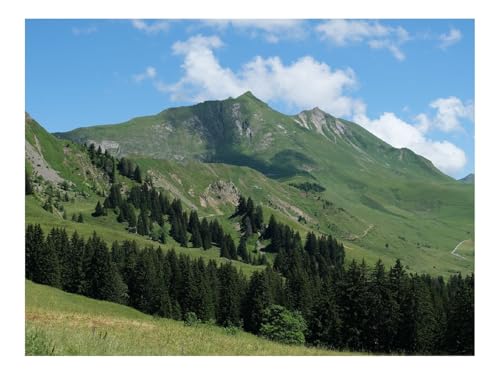 1000 Teile Puzzle Erwachsene-Berge,Hänge,Bäume,Landschaft 70x50cm von THISIT