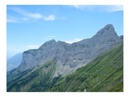 1000 Teile Puzzle Erwachsene-Berge,Hang,Gras,Natur,Bäume 70x50cm von THISIT