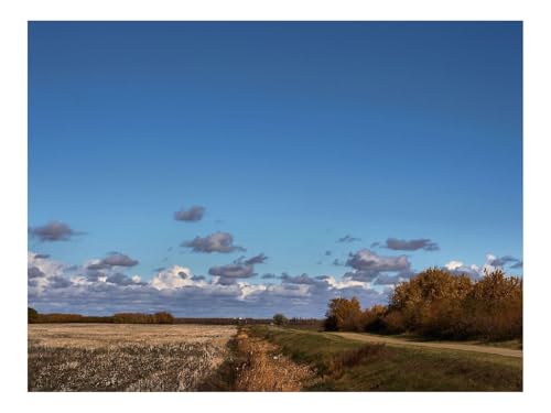 1000 Teile Puzzle Erwachsene-Feld,Straße,Bäume,Wolken,Landwirtschaft,Herbst 70x50cm von THISIT