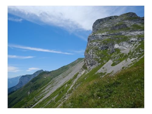 1000 Teile Puzzle Erwachsene-Hang,Gras,Berg,Landschaft 70x50cm von THISIT