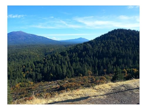 1000 Teile Puzzle Erwachsene-Kalifornien,Berge,Bäume 70x50cm 1000 Teile Puzzle Erwachsene-Kalifornien,Berge,Bäume 70x50cm von THISIT