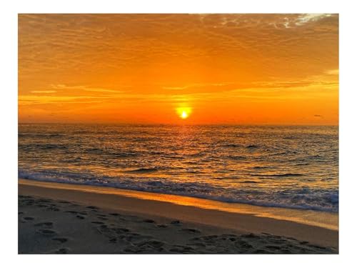 1000 Teile Puzzle Erwachsene-Sonnenuntergang,Küste,Strand,Meer 70x50cm von THISIT