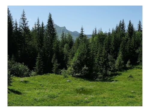 1000 Teile Puzzle Puzzlespiele für Die Ganze Familie-Gras,Bäume,Berge,Blumen 70x50cm von THISIT