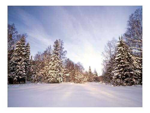 1000 Teile Puzzle Puzzlespiele für Die Ganze Familie-Holz,Schnee,Schneeverwehungen,Bäume 70x50cm 1000 Teile Puzzle Puzzlespiele für Die Ganze Familie-Holz,Schnee,Schneeverwehungen,Bäume 70x50cm von THISIT