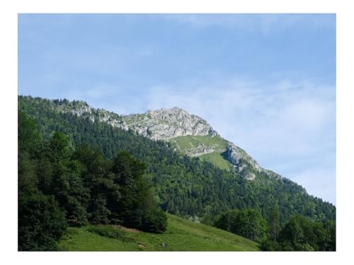 1000 Teile Puzzle für Erwachsene Und Kinder ab 14 Jahren-Berg,Hang,Bäume,Wälder,Landschaft 70x50cm 1000 Teile Puzzle für Erwachsene Und Kinder ab 14 Jahren-Berg,Hang,Bäume,Wälder,Landschaft 70x50cm von THISIT