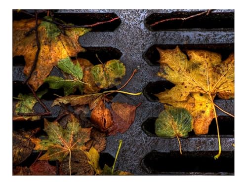 1000 Teile Puzzle für Erwachsene Und Kinder ab 14 Jahren-Blätter,Gelb,Herbst,Feuchtigkeit,Gitter 70x50cm 1000 Teile Puzzle für Erwachsene Und Kinder ab 14 Jahren-Blätter,Gelb,Herbst,Feuchtigkeit,Gitter 70x50cm von THISIT