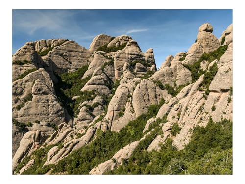 1000 Teile Puzzle für Erwachsene Und Kinder ab 14 Jahren-Felsen,Bäume,Natur 70x50cm von THISIT