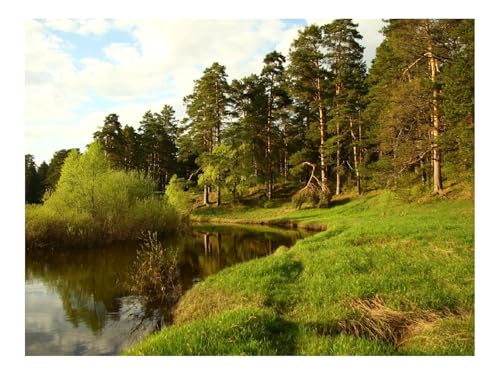 1000 Teile Puzzle für Erwachsene Und Kinder ab 14 Jahren-Küste,See,Wald 70x50cm von THISIT