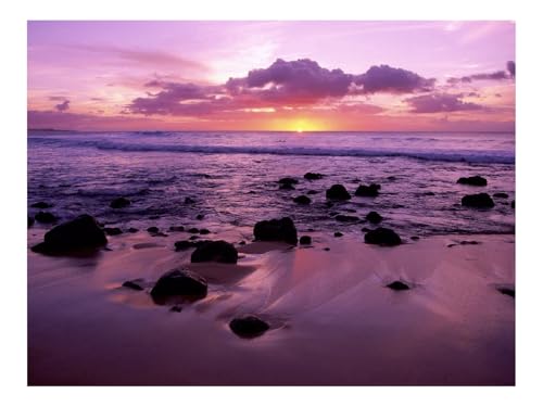 1000 Teile Puzzle für Erwachsene Und Kinder ab 14 Jahren-Niedergang,Hawaii,Abend 70x50cm 1000 Teile Puzzle für Erwachsene Und Kinder ab 14 Jahren-Niedergang,Hawaii,Abend 70x50cm von THISIT