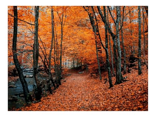 1000 Teile Puzzle für Erwachsene Und Kinder ab 14 Jahren-Oliven,Zweig,Baum,Obst 70x50cm von THISIT