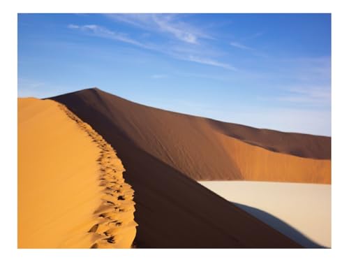 1000 Teile Puzzle für Erwachsene Und Kinder ab 14 Jahren-Wüste,Spur,Dünen 70x50cm von THISIT