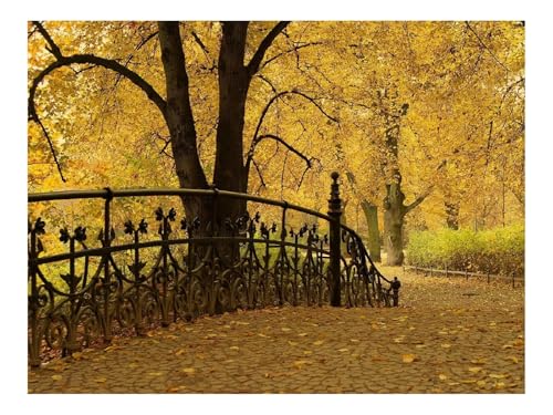 1000 Teile Puzzles-Geschenk,Clevere RäTsel-Brücke,Geländer,Park,Herbst 70x50cm von THISIT