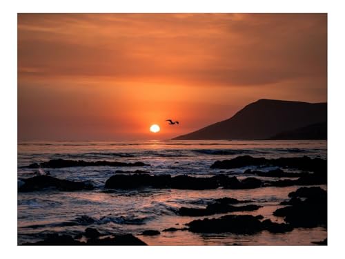 1000 Teile Puzzles-Geschenk,Clevere RäTsel-Sonnenuntergang,Horizont,Felsen,Meer,Vögel 70x50cm von THISIT