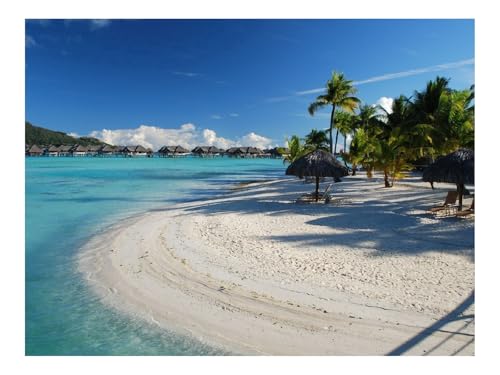 1000 Teile Puzzles – Herausforderung Spielzeug-Baldachine,Chaiselongues,Lounges,Stühle 70x50cm 1000 Teile Puzzles – Herausforderung Spielzeug-Baldachine,Chaiselongues,Lounges,Stühle 70x50cm von THISIT