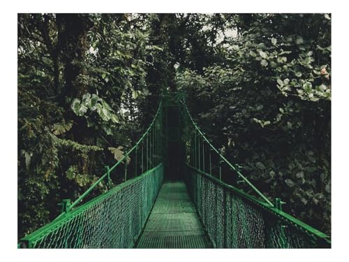 1000 Teile Puzzles – Herausforderung Spielzeug-Brücke,Bäume,Laub 70x50cm 1000 Teile Puzzles – Herausforderung Spielzeug-Brücke,Bäume,Laub 70x50cm von THISIT