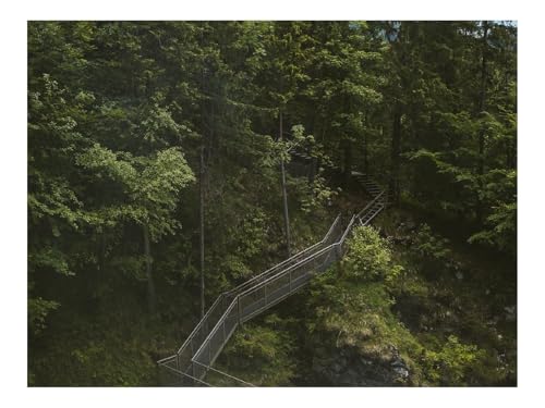 1000 Teile Puzzles – Herausforderung Spielzeug-Brücke,Fluss,Bäume,Steine,Felsen 70x50cm von THISIT