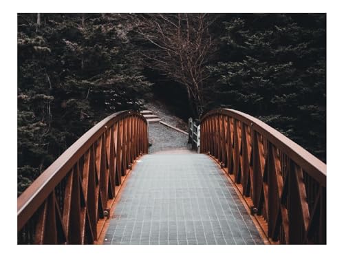 1000 Teile Puzzles – Herausforderung Spielzeug-Brücke,Wälder,Bäume,Landschaft 70x50cm von THISIT