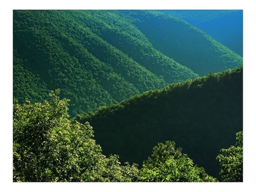 1000 Teile Puzzles – Herausforderung Spielzeug-Büsche,Hügel,Bäume 70x50cm von THISIT
