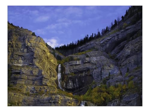 1000 Teile Puzzles – Herausforderung Spielzeug-Felsen,Wasserfall,Bäume,Sträucher 70x50cm von THISIT