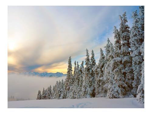 1000 Teile Puzzles – Herausforderung Spielzeug-Fichten,Bäume,Berge,Schnee,Verschneit 70x50cm von THISIT