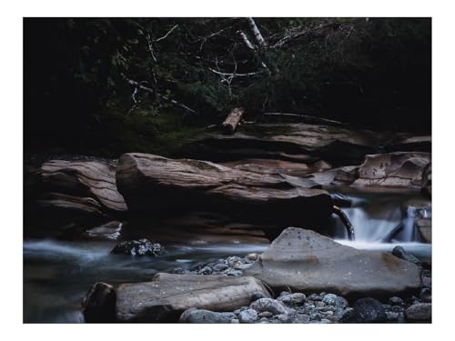1000 Teile Puzzles – Herausforderung Spielzeug-Fluss,Steine,Wasser,Sträucher 70x50cm von THISIT