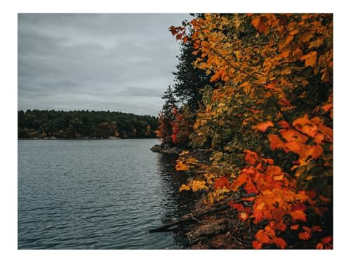1000 Teile Puzzles – Herausforderung Spielzeug-Küste,See,Herbst 70x50cm von THISIT