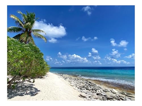 1000 Teile Puzzles – Herausforderung Spielzeug-Küste,Strand,Palmen 70x50cm von THISIT