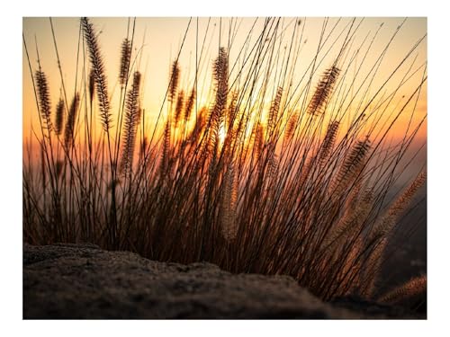 1000 Teile Puzzles – Herausforderung Spielzeug-Ohren,Sonne,Sand,Sonnenuntergang 70x50cm von THISIT