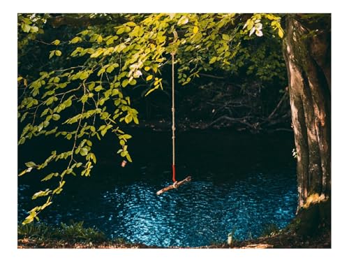 1000 Teile Puzzles – Herausforderung Spielzeug-Schaukel,Seil,Baum,Äste,Fluss 70x50cm von THISIT