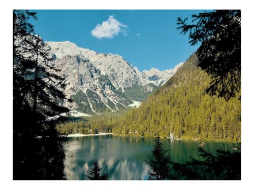 1000 Teile Puzzles – Herausforderung Spielzeug-See,Berge,Zweige,Fichten,Landschaft 70x50cm von THISIT