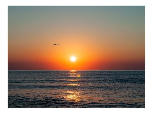 1000 Teile Puzzles – Herausforderung Spielzeug-Sonnenuntergang,Möwe,Meer,Küste,Blendung,Horizont 70x50cm von THISIT
