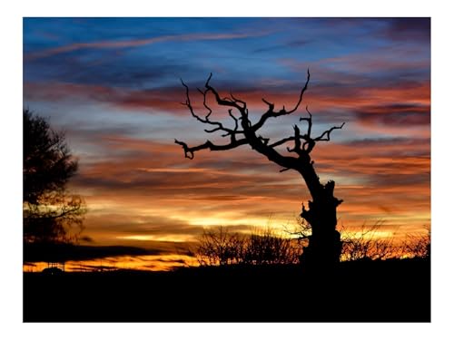 1000 Teile Puzzles – Herausforderung Spielzeug-Sonnenuntergang,Zweig,Silhouette,Wolken 70x50cm von THISIT