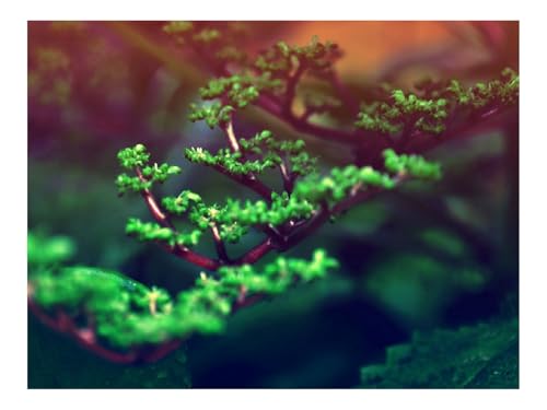 1000 Teile Puzzles – Herausforderung Spielzeug-Zweige,Nieren,grün 70x50cm 1000 Teile Puzzles – Herausforderung Spielzeug-Zweige,Nieren,grün 70x50cm von THISIT