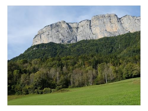 1000 Teile Puzzles – Herausforderungsspielzeug-Berg,Felsen,Bäume,Rasen,Hang 70x50cm von THISIT