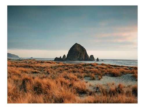 1000 Teile Puzzles – Herausforderungsspielzeug-Berge,Felsen,Gras,Trocken 70x50cm 1000 Teile Puzzles – Herausforderungsspielzeug-Berge,Felsen,Gras,Trocken 70x50cm von THISIT