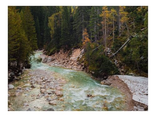 1000 Teile Puzzles – Herausforderungsspielzeug-Fluss,Bäume,Berg,Natur,Landschaft 70x50cm von THISIT