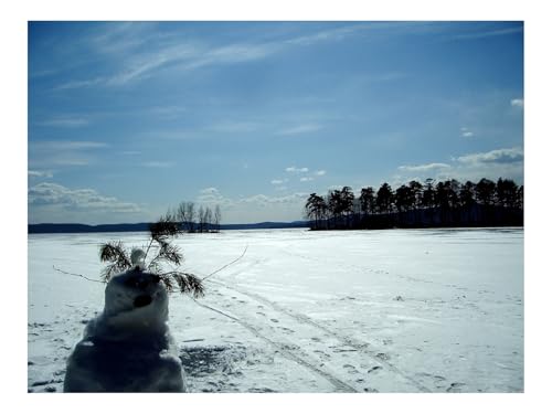 1000 Teile Puzzles – Herausforderungsspielzeug-Schneemann,Feld,Spuren,Bäume 70x50cm von THISIT